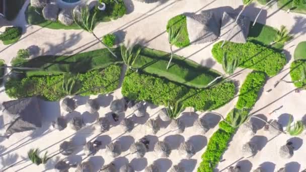 Letecký Top Dolů Záběr Tropického Luxusního Hotelového Resortu Bazénem Palmami — Stock video