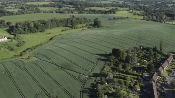 Sommergrønt Jordbruksland Liten Engelsk Landsby Castle Hedingham Høy Vinkel – stockvideo