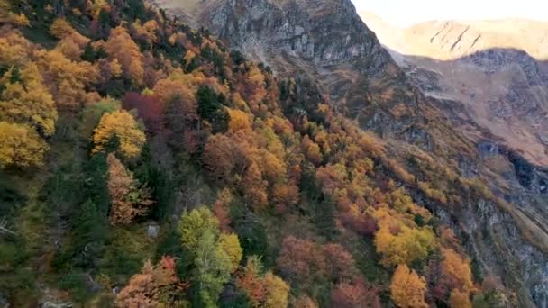 Floresta Colorida Temporada Outono Lago Lac Espingo Haute Garonne Montanhas — Vídeo de Stock