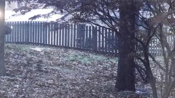 密歇根州Muskegon的第一场雪 软片掉得很快 — 图库视频影像