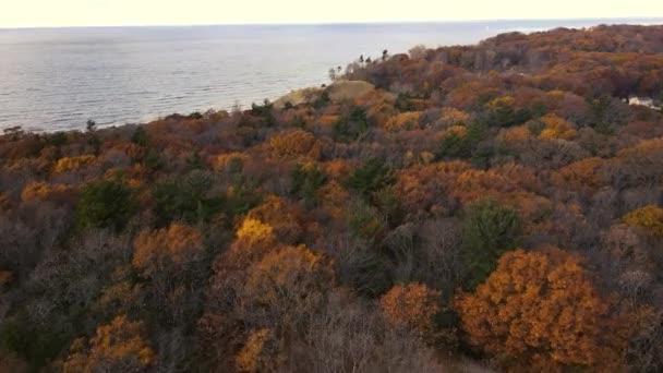 Vzduch Pozdních Podzimních Stromů Některé Jsou Holé Jiné Prvotřídních Barvách — Stock video