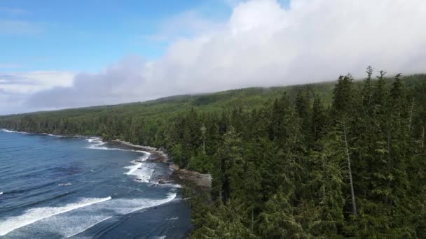 Imágenes Aéreas Playa Sombrio Isla Vancouver Movimiento Cámara Cinematográfica Camiones — Vídeos de Stock