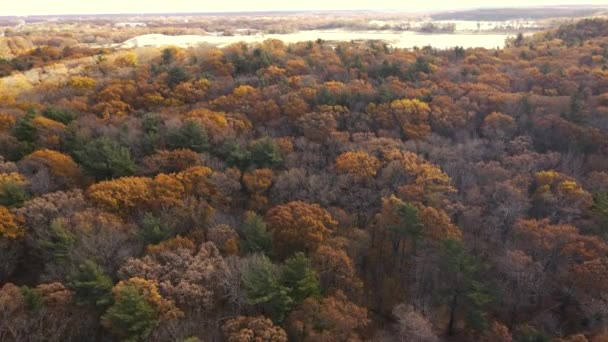 Luchtfoto Van Herfstkleuren Tweede Helft Van Het Seizoen — Stockvideo