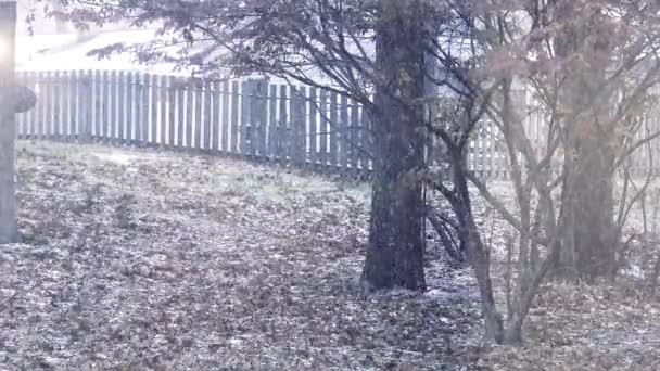 秋末在Muskegon的雪白水花 — 图库视频影像