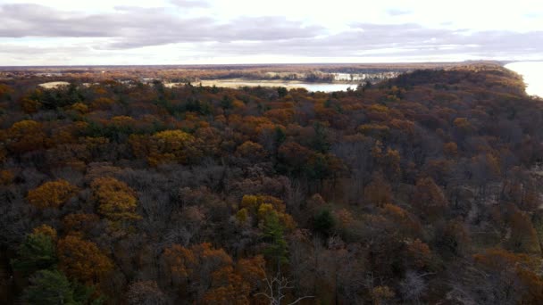 Immer Noch Bewegung Antenne Der Wechselnden Blätter Des Kruse Parks — Stockvideo