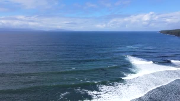 Vancouver Adası Nın Vahşi Değmemiş Batı Kıyısındaki Sombrio Sahilinin Hava — Stok video