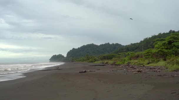 Couple Walking Otherwise Empty Black Sand Beach Costa Rica Majestic — Stock Video