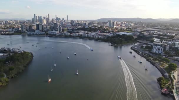 Letecký Pohled Plachetnice Citycat Cruising Brisbane River Overlooking Cbd Distance — Stock video