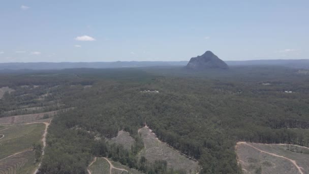 Mount Beerwah Umgeben Von Sattgrünem Wald Der Sunshine Coast Südosten — Stockvideo