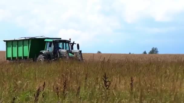 Traktor Feld Mähdrescher Ackerland Arbeit Freien Sommertraktor — Stockvideo