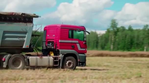 Зерно Відбирається Вантажівкою _Farmland_Work_Outdoors_Summer_Truck_Outdoors_Farm — стокове відео