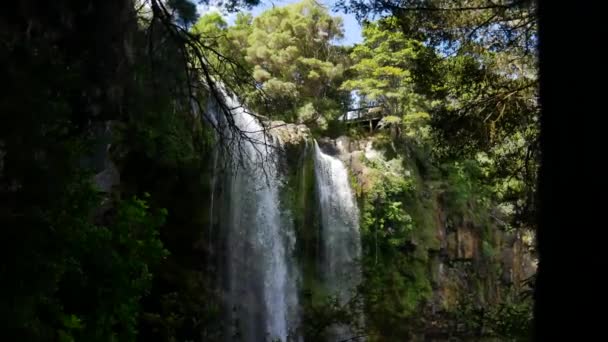 Gebogen Schot Van Weelderige Waterval Diepe Jungle Kerikeri National Park — Stockvideo