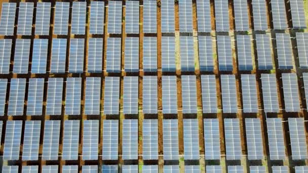 Arriba Hacia Abajo Aérea Una Gran Cantidad Paneles Solares — Vídeos de Stock