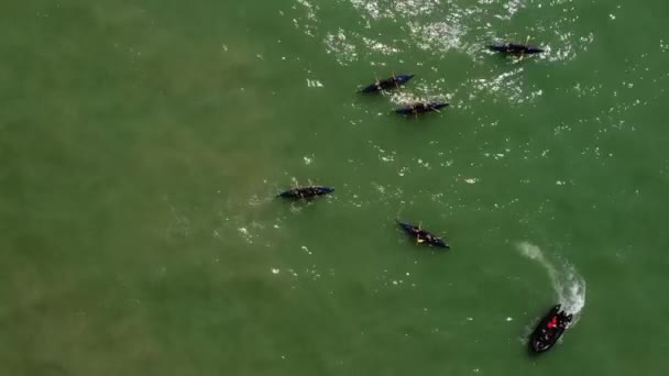 专业划船队的黑船夏天在天然海洋上练习的空中自上而下射击 — 图库视频影像