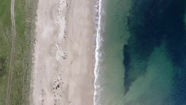 Tiro Aéreo Arriba Hacia Abajo Volando Sobre Una Playa Arena — Vídeos de Stock