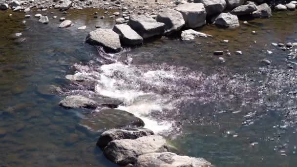 Tiro Estático Rio Claro Pequenas Corredeiras Fluindo Através Grandes Rochas — Vídeo de Stock