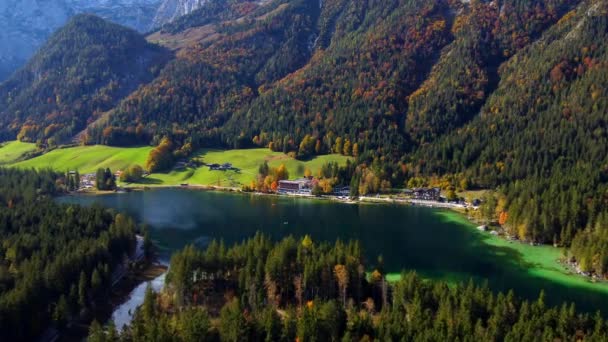 Filmati Aerei Hintersee Nelle Alpi Bavaresi Circondati Alberi Colorati Autunnali — Video Stock
