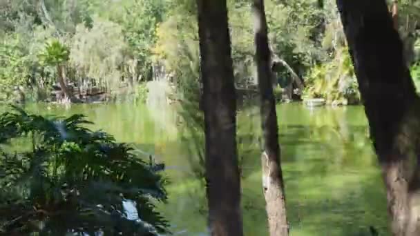 Άποψη Μιας Λίμνης Και Πολύ Πράσινο Από Μια Βόλτα Τρένο — Αρχείο Βίντεο