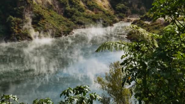 Mystic Toxic Steam Hovering Geothermal Lake Sunlight New Zealand Waimangu — Stock Video