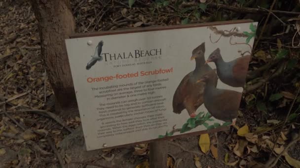 Signpost Orange Footed Scrubforwl Thala Beach Nature Reserve Port Douglas — Stock video