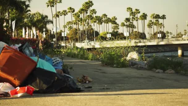 Paseos Patineta Través Pila Basura Ubicación Tropical Los Ángeles Vista — Vídeos de Stock