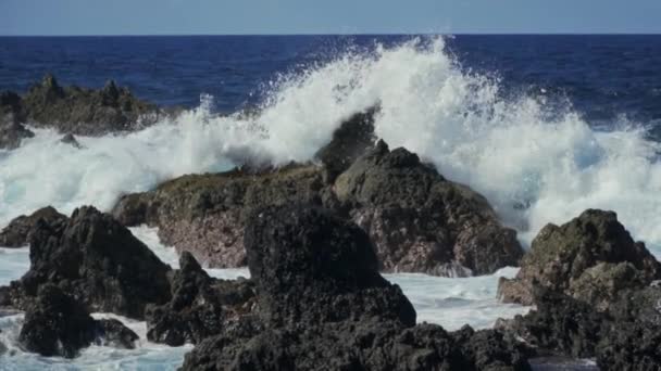 マデイラポルトガルの岩だらけの海岸線 スローモーションと衝突します — ストック動画