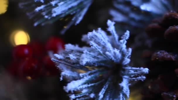 Albero Natale Stock Ftg Ornamenti Palmari Alt 25Sec — Video Stock