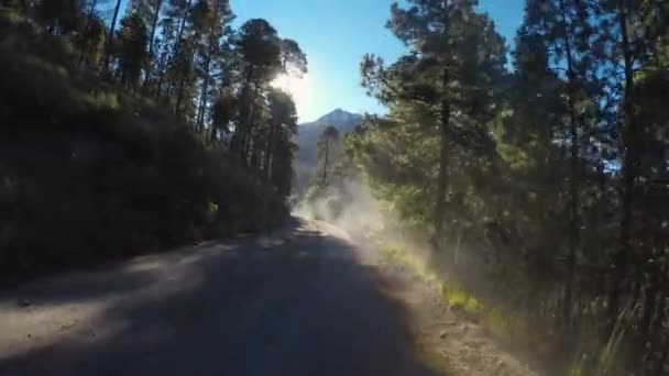 ネヴァド トルカ火山へのツアー — ストック動画