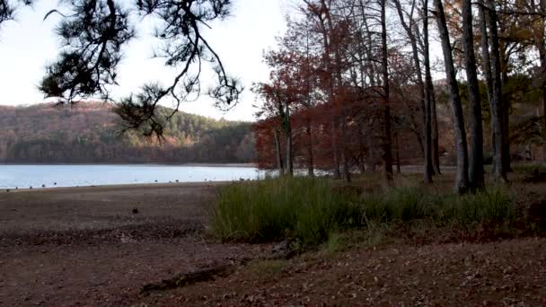 Lago Puesta Del Sol Catherine Arkansas Otoño 2021 — Vídeos de Stock