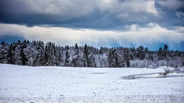 北半球の森林 冬の凍結風景 クリスマスシーズン タイムラプス — ストック動画