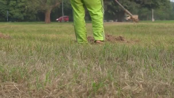 Homme Essayant Faucher Herbe Morte Dans Une Prairie Avec Une — Video