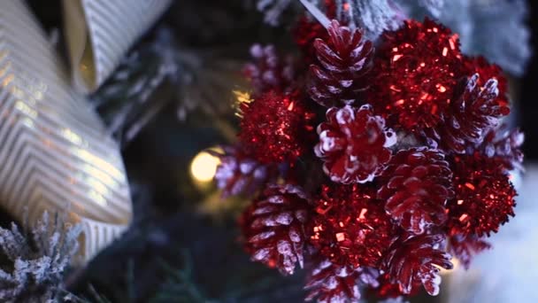 Kerstboom Stock Ftg Handheld Rode Ornament 10Sec — Stockvideo