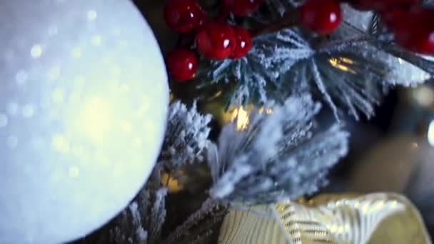 Vánoční Strom Stock Fotky Handheld 20Sec — Stock video