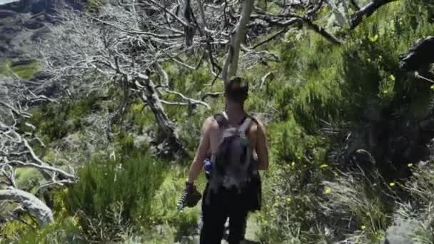 Panorámica Excursionista Caminando Largo Sendero Árbol Estéril Sobre Cabeza Cámara — Vídeo de stock