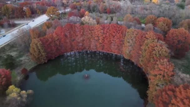 Πετάξτε Μακριά Drone Shot Της Ανατολικής Πλευράς Του Forest Park — Αρχείο Βίντεο