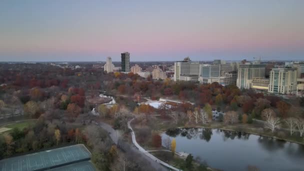 Снижение Снимка Осенних Цветных Деревьев Высокими Зданиями Города Заднем Плане — стоковое видео