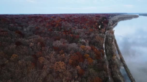 ドローンミズーリ川の隣で撃たれた ウェルドン スプリング ルイスとクラーク ハイキング トレイル ケイティ トレイル 秋の季節の変化 赤と黄色の木 — ストック動画