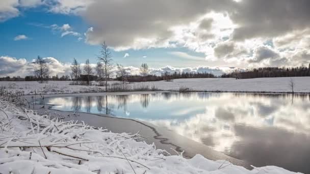 Scena Invernale Favola Con Lago Una Foresta Pini Delle Nevi — Video Stock