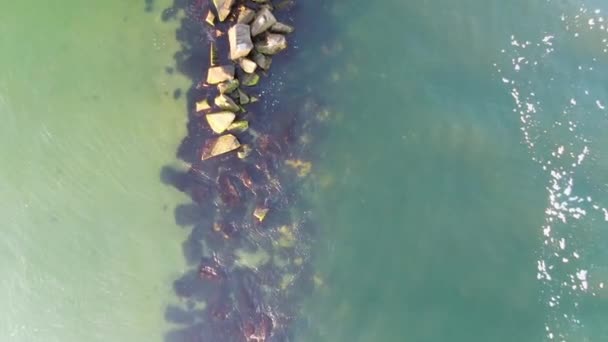 Aerial Bottom View Water Reefs Different Gradation Green Blue — Stock Video