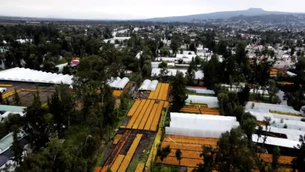 Drone Uitzicht Enorme Plantages Xochimilco Meer Mexico Stad — Stockvideo