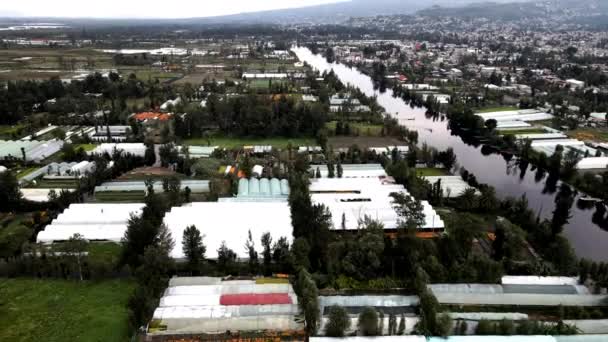 Drohnenschuss Auf Gewächshäuser Xochimilco Mexiko Stadt Mit Cempasuchil Blume — Stockvideo
