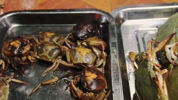 Uma Barraca Comida Rua Vendendo Caranguejos Frutos Mar Diferentes Para — Vídeo de Stock