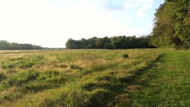 Van Links Naar Rechts Pan Greenfield Bij Meramec River — Stockvideo