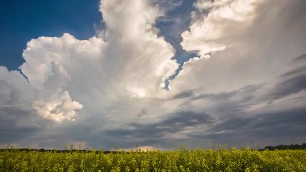 Lucht Vol Wolken Timelapse Tijdens Een Bewolkte Dag Het Veld — Stockvideo