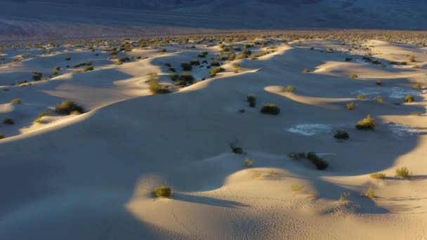 Бесконечные Песчаные Дюны Мескит Калифорнии Горным Хребтом Фоновом Режиме Воздушный — стоковое видео