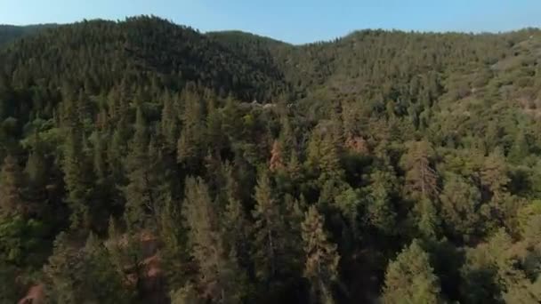 Immergrüne Wälder Bedecken Die Zerklüftete Landschaft Der Tehachapi Berge — Stockvideo