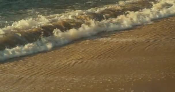 Vågor Sydamerikanska Stranden — Stockvideo