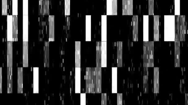 Glitching Pantalla Temblor Monocromo Animación — Vídeos de Stock