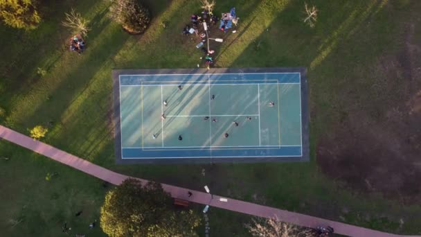 Bovenaanzicht Vanuit Lucht Direct Boven Amateurvolleybalveld Spelers Het Park — Stockvideo