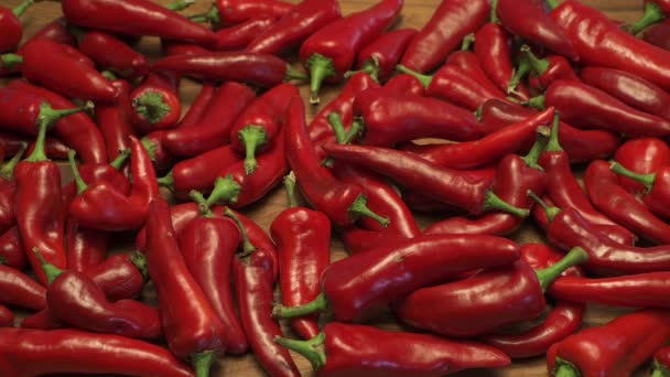 Les Piments Rouges Mûrs Nouveau Mexique Sont Délice Culinaire Aux — Video